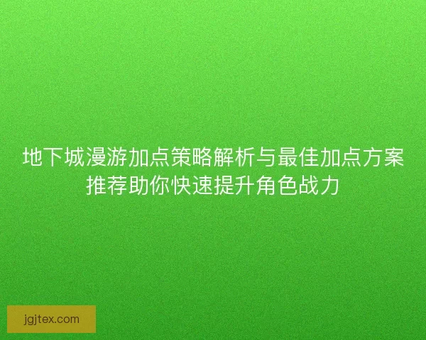 地下城漫游加点策略解析与最佳加点方案推荐助你快速提升角色战力