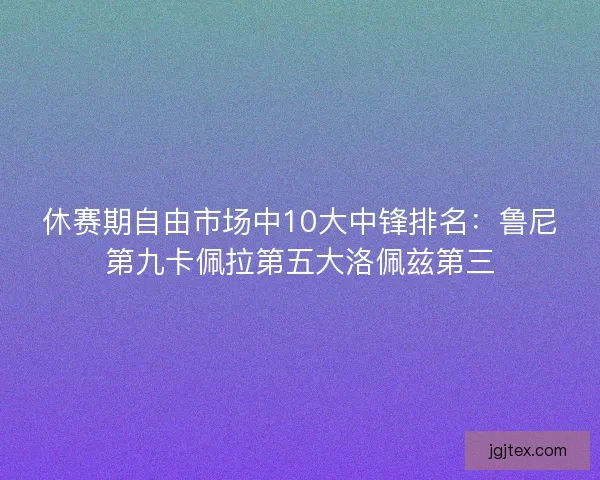 休赛期自由市场中10大中锋排名：鲁尼第九卡佩拉第五大洛佩兹第三